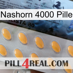 Rhino 4000 Pill 44